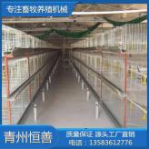 全自动鸡笼设备 肉鸡笼 厂家直销鸡笼 养鸡场养殖设备供应