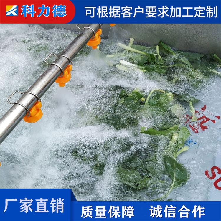 不锈钢气泡枸杞清洗机 新疆大枣沙棘清洗机 冲浪式果蔬清洗设备厂家直销