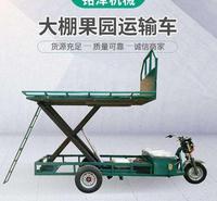 大棚电动运输车 地老虎电动运输车 果园采摘车 摘果车  专业供应各种电动运输车