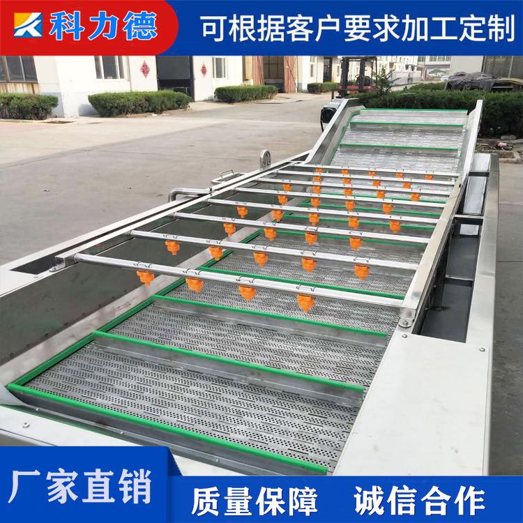 全自动大枣蔬菜清洗机 多功能火龙果苹果清洗设备 枸杞脱蜡机食品加工设备