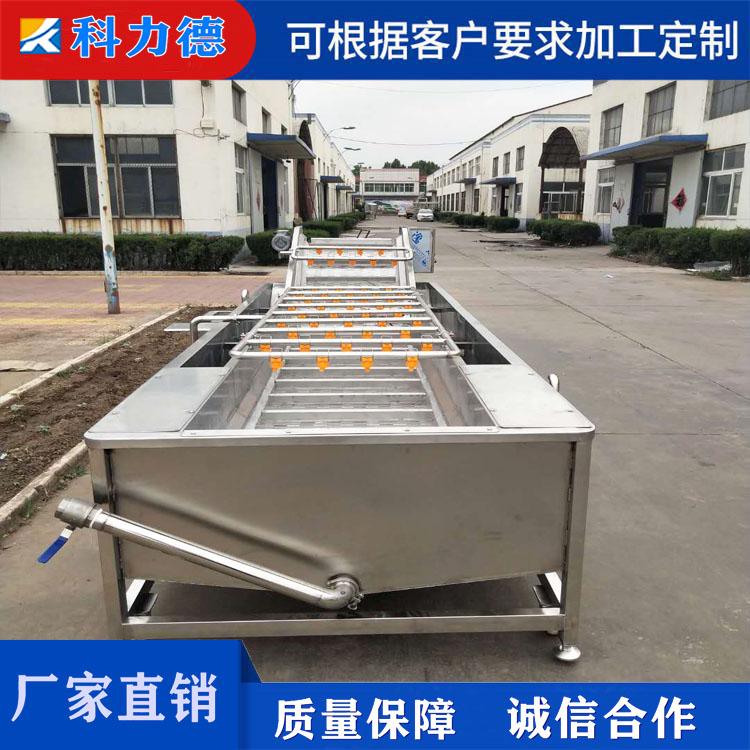 黄花菜气泡清洗机 科力德牌黄豆角酸豆角清洗设备 全自动枸杞大枣去杂机厂家直销