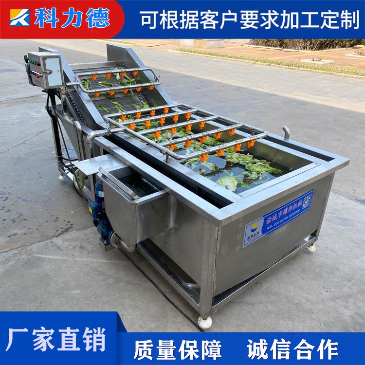 芥菜丝脱盐清洗机 各种酱菜脱盐设备 山野菜茶树菇清洗杀青线 果蔬清洗杀菌设备
