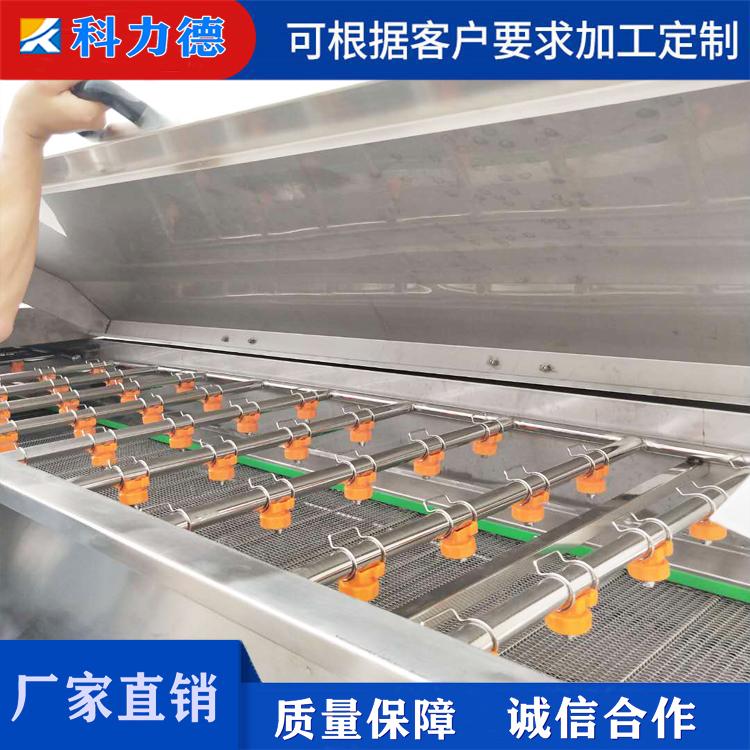 供应蔬菜清洗机厂家直销 秋葵木耳清洗机 304不锈钢果蔬清洗机价格