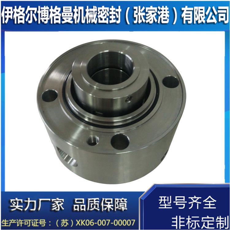 长期现货批发TTS-48机械密封 脱酸碱泵用机械密封 非标定制件