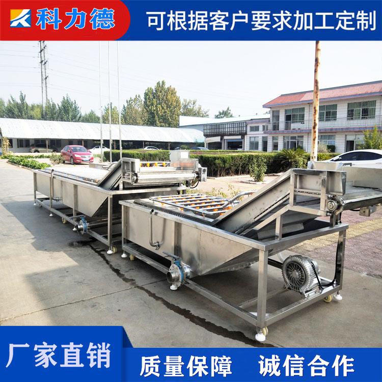 全自动蓝莓清洗机 多功能不锈钢果蔬清洗机  中药材气泡式清洗设备