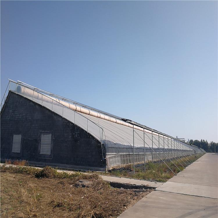 规划建设 冬暖式日光温室 温室工程 全国承接