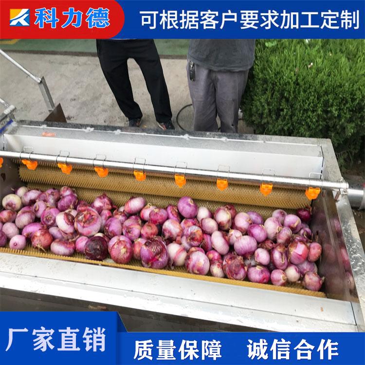 供应根茎类蔬菜毛辊去皮清洗机  桔梗去皮清洗机  土豆胡萝卜毛辊清洗机