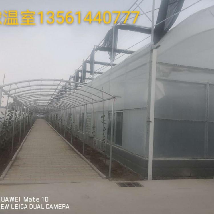 智能温室大棚 玻璃温室 智能大棚建造