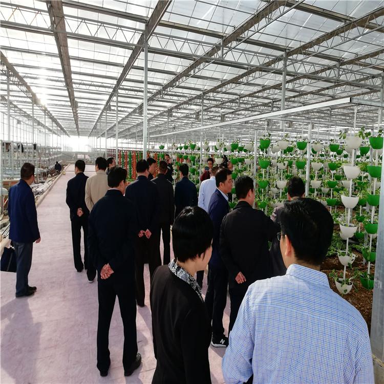 诚信厂家 瓜类、茄果类、豆类种植系统 果菜基质栽培设施 期待洽谈