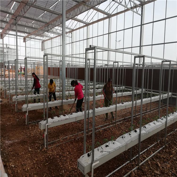 全国承接 基质槽果菜种植系统 果菜基质栽培设施 期待合作