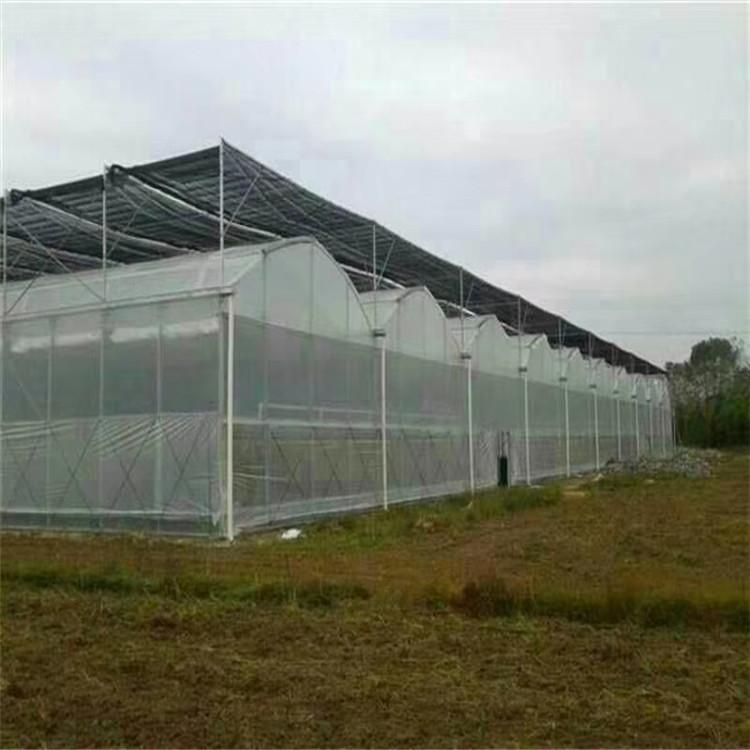 规划建造建设 连栋薄膜温室大棚 薄膜温室大棚 服务至上