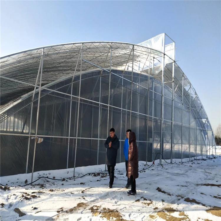 山东建设 温室工程 薄膜温室 欢迎咨询