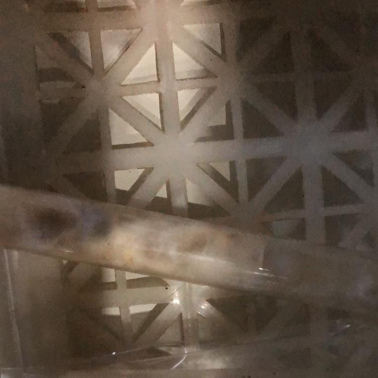 高品质黑皮鸡枞菌种菌包 菌厂直供产量高提供种植技术和食用菌大棚