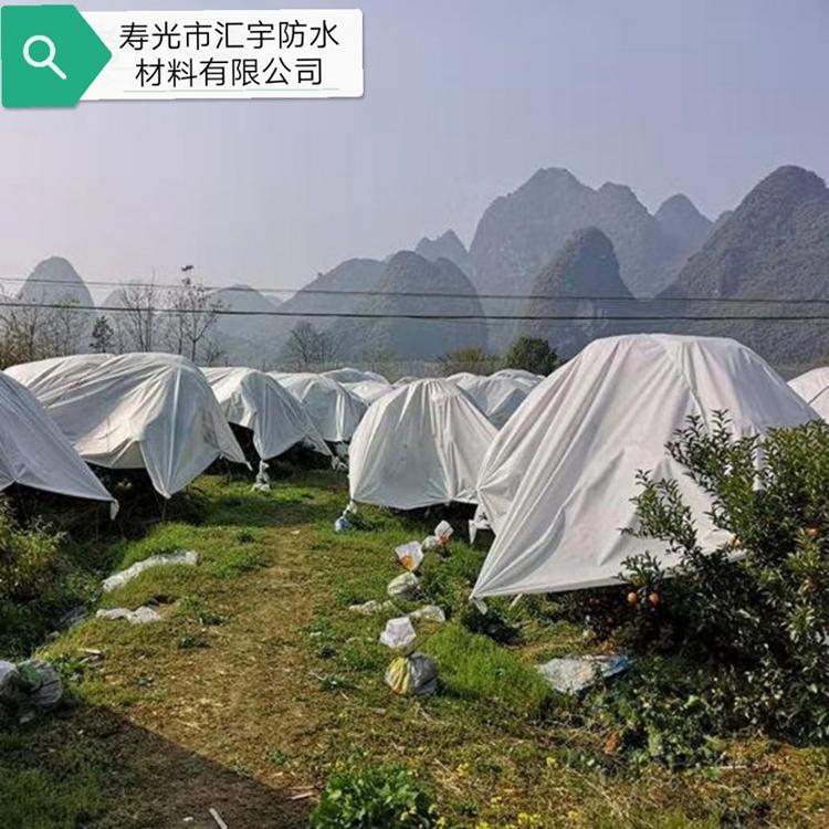 无纺布加工批发 诚信商家  无纺布生产加工 绿色环保无纺布 量大价优