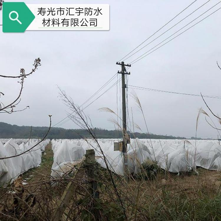 蔬菜拱棚覆盖无纺布  露地越冬蔬菜覆盖保温无纺布 无纺布生产批发 来电咨询