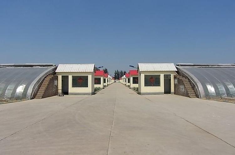 温室工程建造 花卉育苗种子大棚 山东山水合