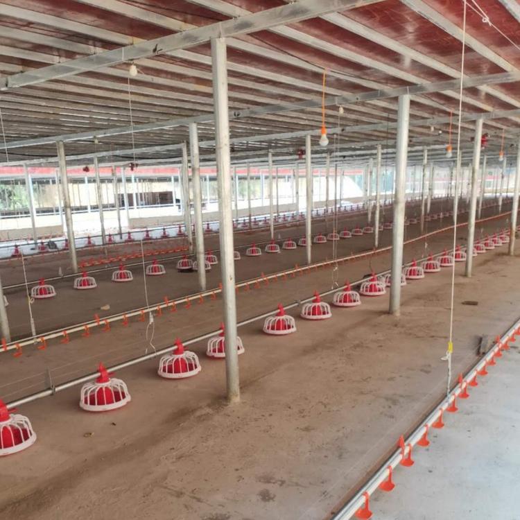 养鸡场自动喂料 平养鸡 鸭 鹅 水线料线桶肉鸡 自动喂料