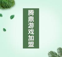 手游代理 零门槛 无需经验 手把手教您 省心省力
