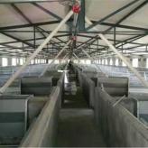 山东厂家定制畜牧养殖场猪舍专用双面不锈钢料槽