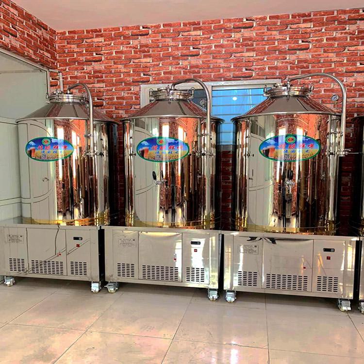 供应自酿啤酒设备 200l精酿啤酒设备定制 啤酒小型设备价格