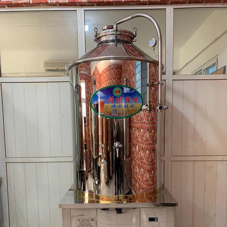 供应多种规格啤酒设备 可按需加工定制