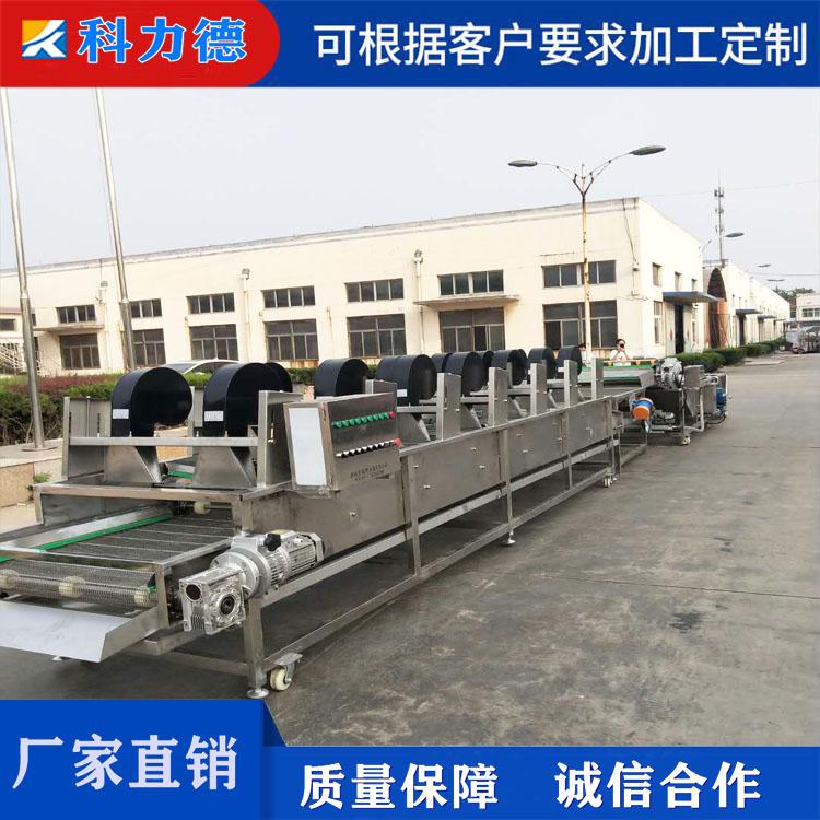 供应蔬菜清洗风干机 海蛎子清洗沥水机 葱姜蒜风干流水线 软包装袋风干设备厂家