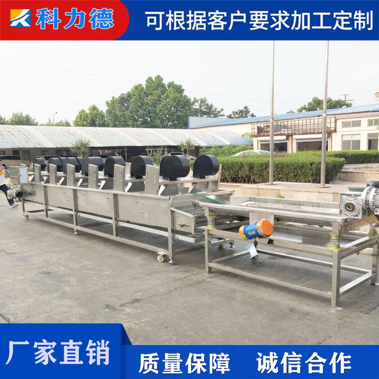 蔬菜深加工清洗流水线 大型果蔬清洗吹干机 强流翻转风干设备 果蔬风干机