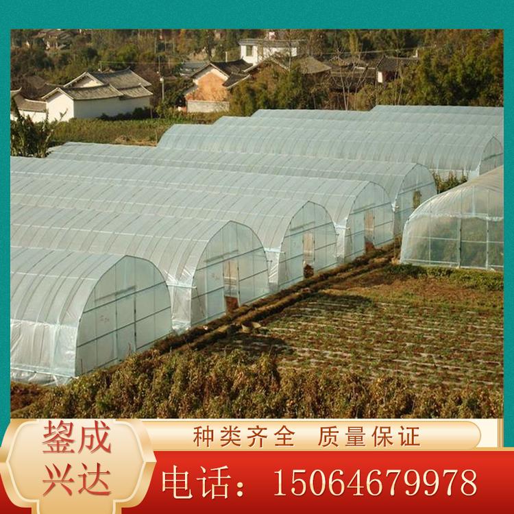承接花卉育苗日光温室大棚 连栋温室大棚 蔬菜水果温室大棚 欢迎咨询鋆成兴达