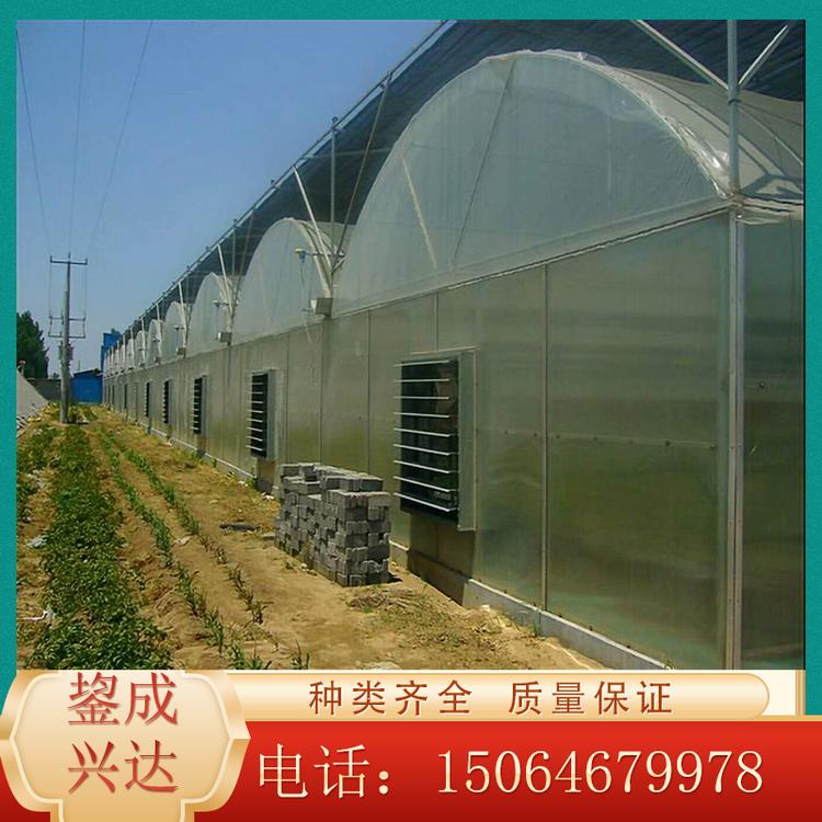 日光温室大棚报价 连栋薄膜温室大棚 土墙温室大棚 欢迎咨询鋆成兴达