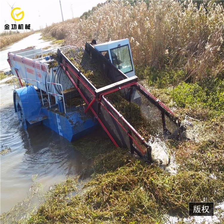 湖泊清淤船  河道割草船  全自动水葫芦粉碎打捞船