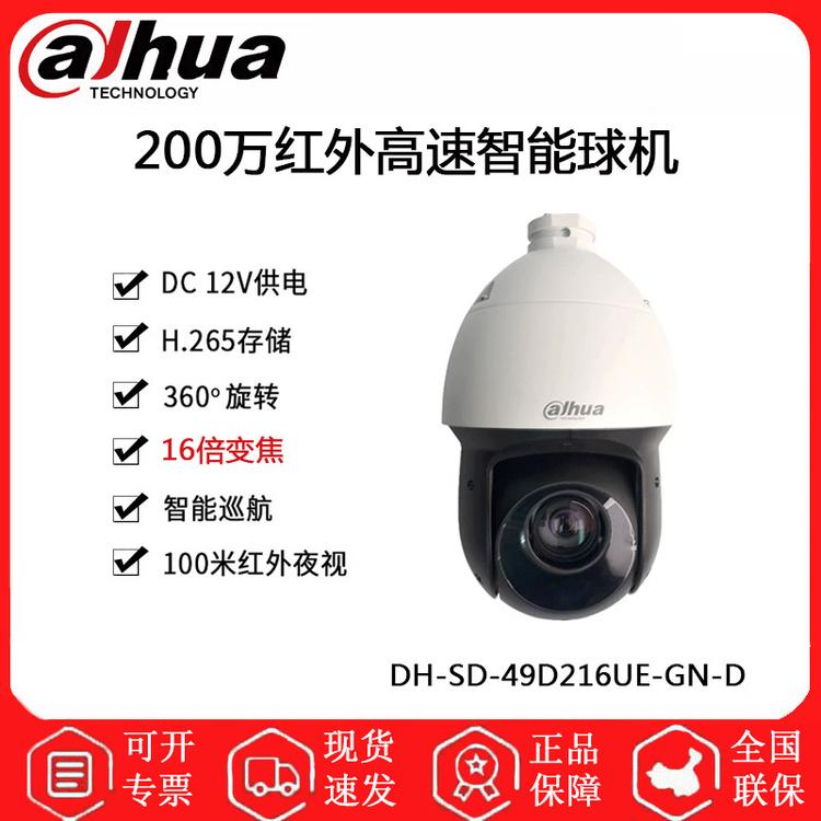 大华 DH-SD-49D216UE-GN-D 4寸200万球形摄像头 360°自动巡航