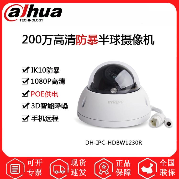 大华 DH-IPC-HDBW1230R 200万防暴半球监控摄像机 POE供电