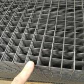 低碳钢丝网片 电镀锌丝网片 厂家直供