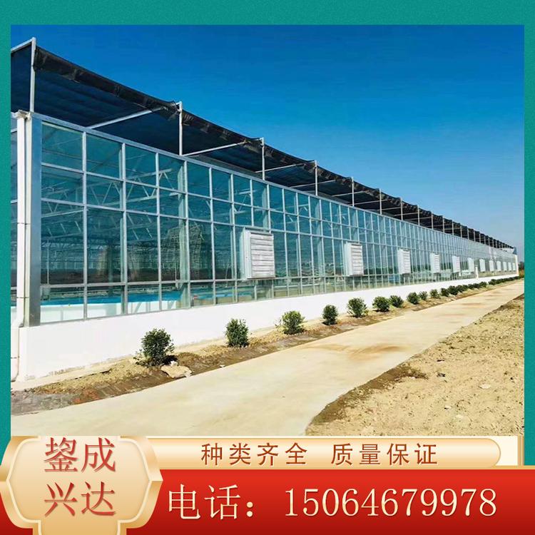 免费设计安装连栋玻璃温室 智能玻璃温室 纹络式玻璃温室工程 推荐鋆成兴达