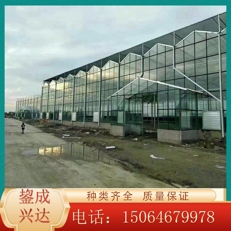 厂家供应玻璃温室 玻璃温室工程 日光温室大棚 欢迎咨询鋆成兴达