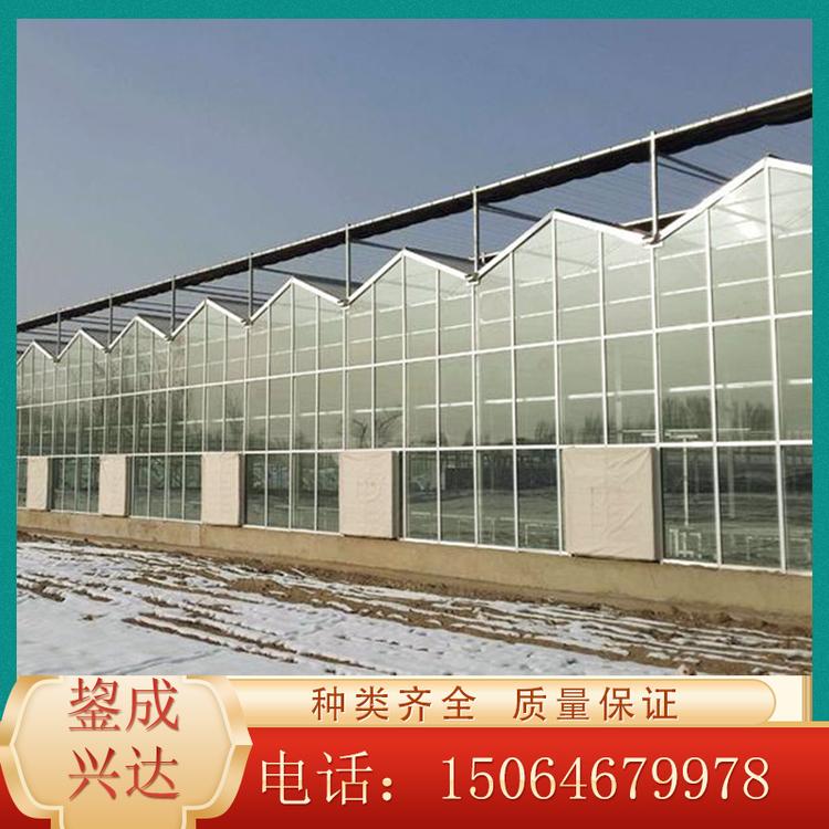 智能玻璃温室价格 连栋玻璃温室 阳光板温室 新型农业温室 欢迎咨询鋆成兴达