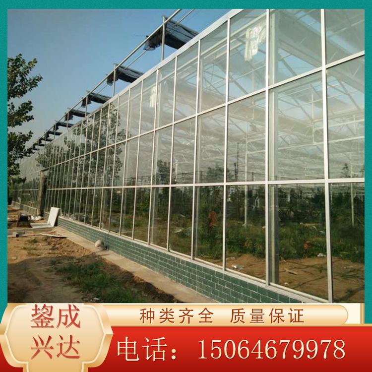 山东玻璃温室价格 玻璃温室工程 日光温室大棚 欢迎咨询鋆成兴达