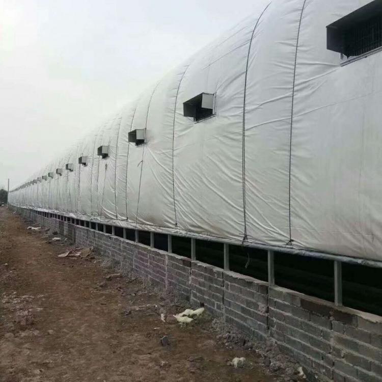甘肃肉牛羊养猪养殖大棚骨架厂家直供质量可靠