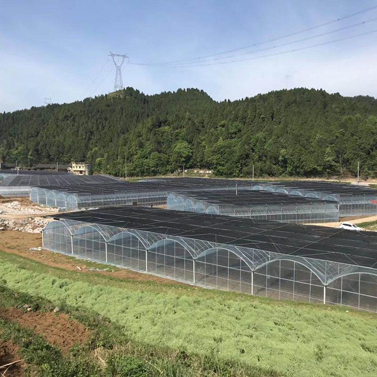 薄膜连栋温室大棚 搭建温室大棚 【龙玺】温室建造商