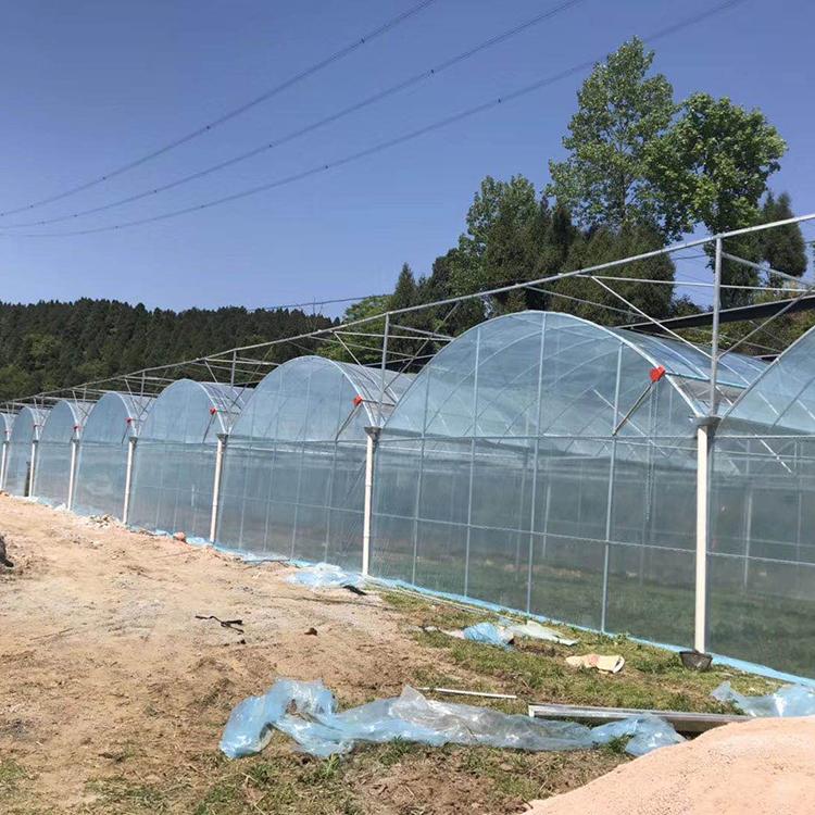 薄膜连栋温室大棚 薄膜连栋温室定制 温室大棚报价