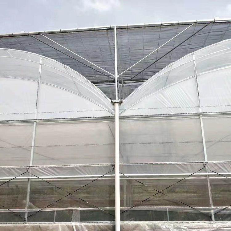 山东薄膜连栋温室报价 种植用薄膜温室大棚 【龙玺】温室建造商