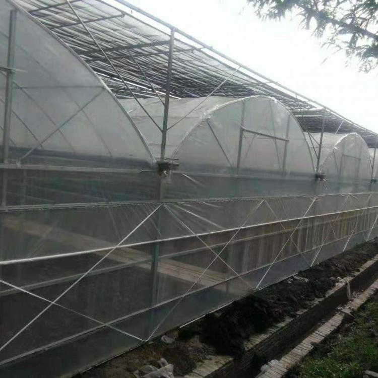 批发销售温室大棚定制