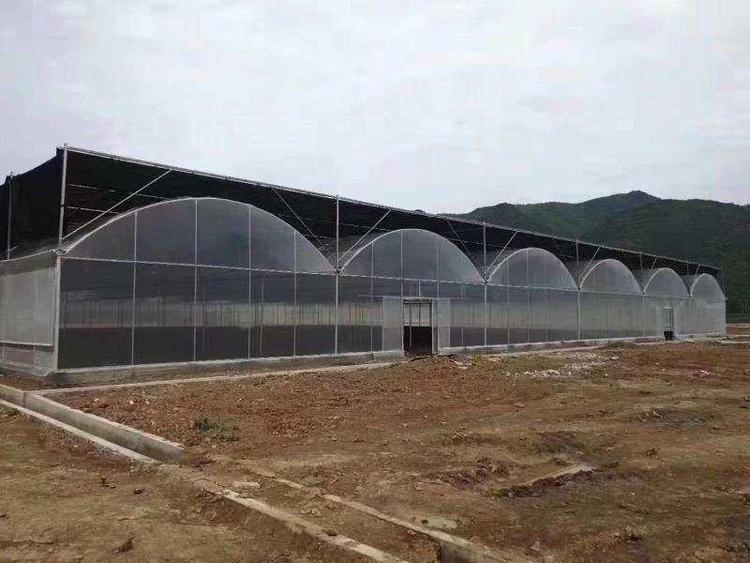 智能无土栽培温室建造