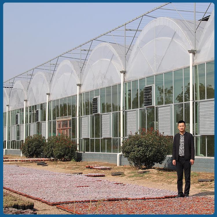蔬菜薄膜大棚 连栋薄膜温室建设商 整体设计安装