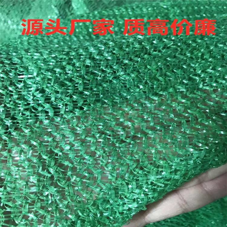防尘绿化盖土网草坪施工阻燃封车废墟土工布无味防坠网挡风网