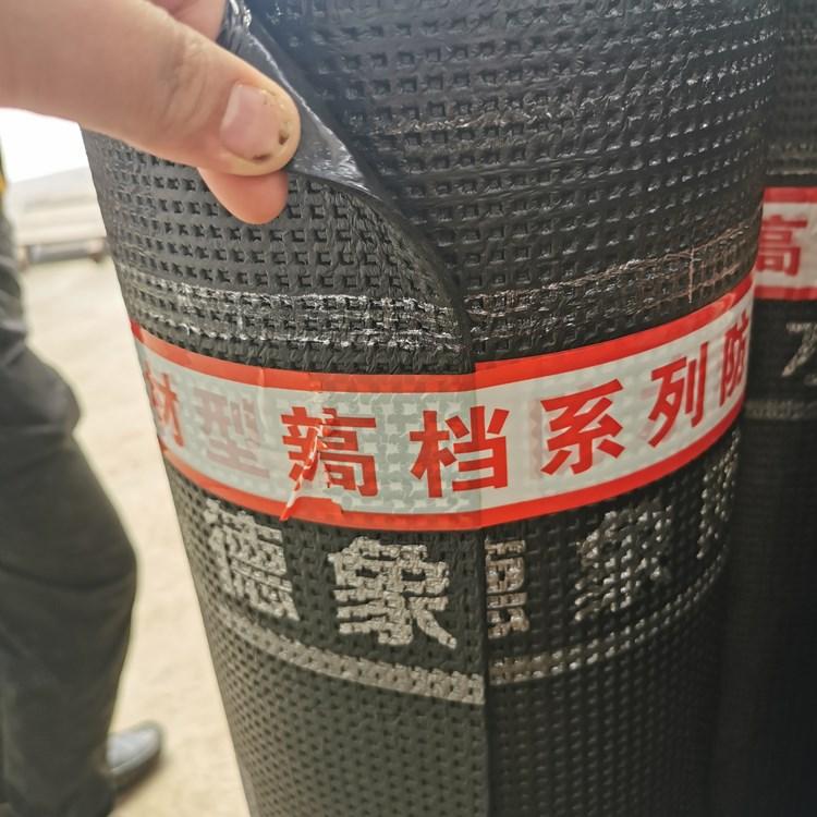 SBS防水卷材 德象牌蓝恩牌 APP弹性体改性沥青液体卷材防水涂料 聚氨酯水泥基防水涂料 源头厂家 批发代加工