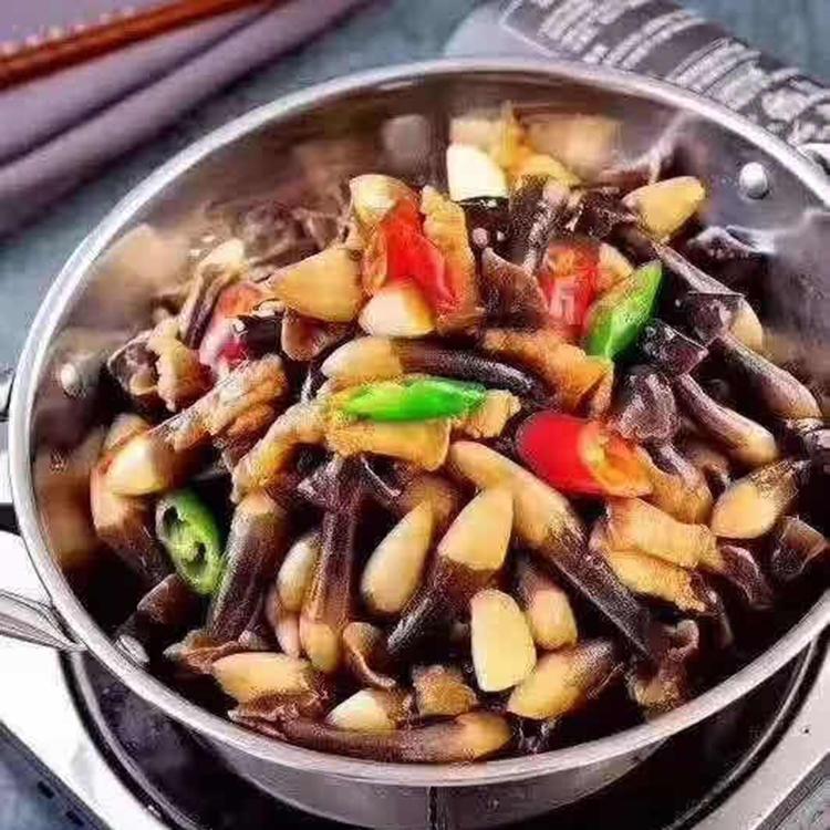 黑皮鸡枞菌种植基地 白鸡枞菌产地