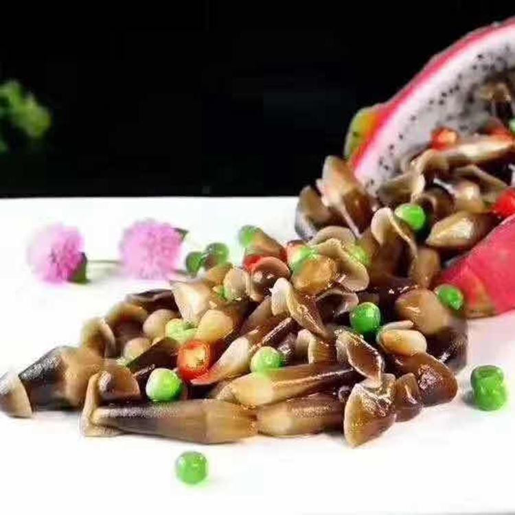 四川特色食用菌   黑皮鸡枞菌厂家 菌种养殖基地