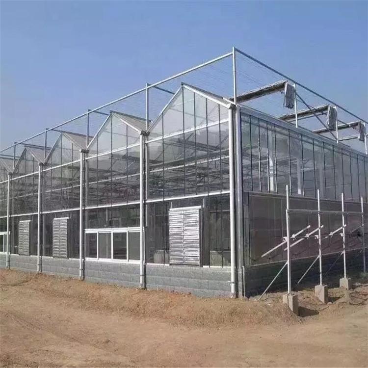 山东连栋温室造价 玻璃温室 智能玻璃温室 农业玻璃温室工程 欢迎咨询鋆成兴达