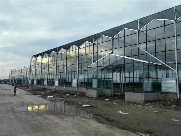 玻璃温室 玻璃温室大棚  承建玻璃智能温室大棚 龙玺温室